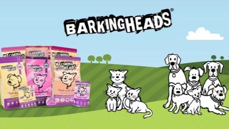 All About Barking Heads