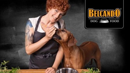 Tout sur l'alimentation Belcando