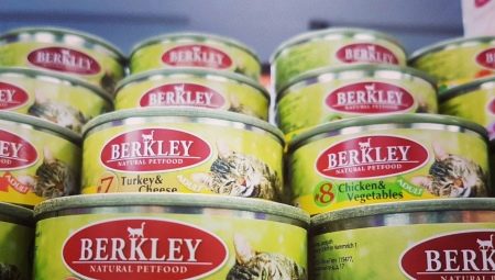 All About Berkley Food
