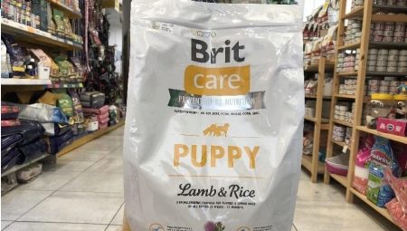 All about Brit food
