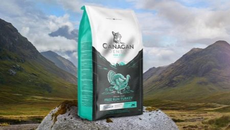 All about food for cats and cats Canagan