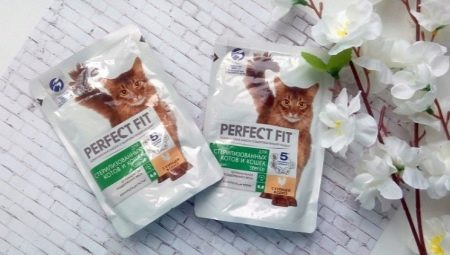 All about food for cats and cats PERFECT FIT