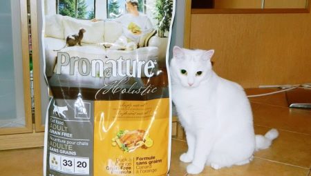 Όλα για την τροφή για γάτες Pronature