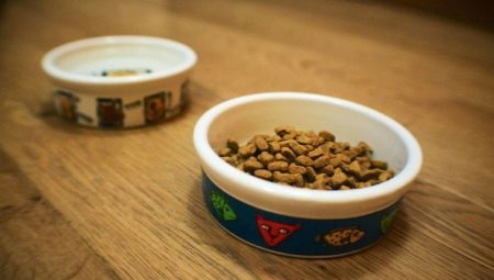 All about food for cats and cats Royal Farm