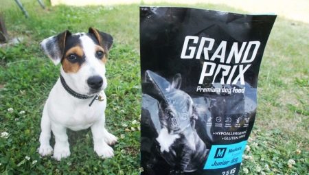 All about the food Grand Prix