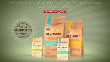 All about GRANDORF food