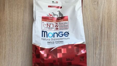 All About Monge Small Dogs Food