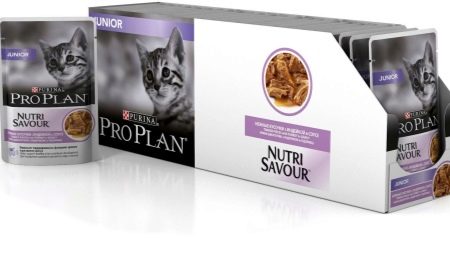 All about Purina Pro Plan kitten food