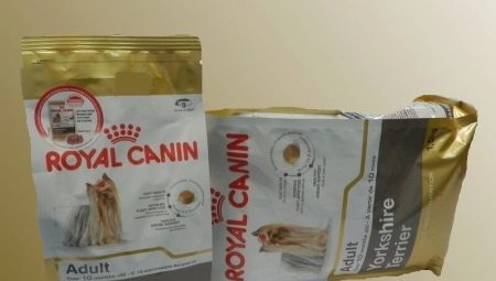 All about ROYAL CANIN food for Yorkshire Terriers
