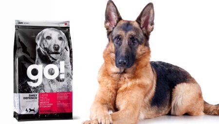 All about lamb food for dogs GO!