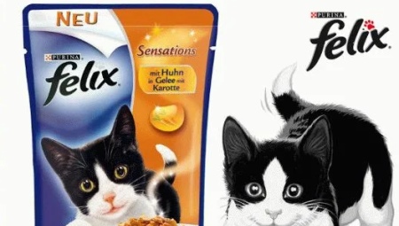 All about Felix food for kittens
