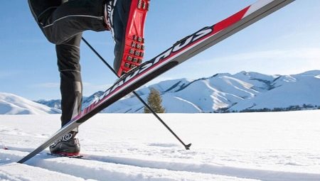 All About Ski Madshus