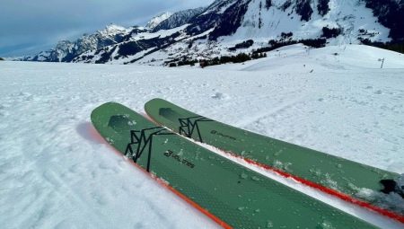 All about Salomon skis