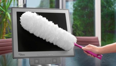 All About Dust Brushes (Pipidastras)