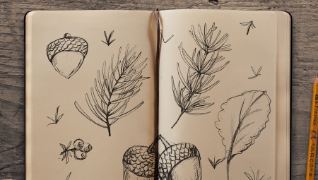 Tout sur le carnet de croquis
