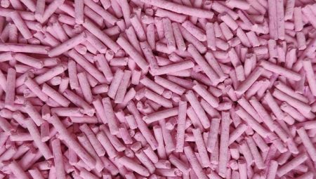 All About Soy Fillers
