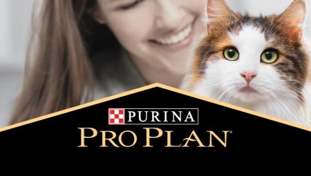 All about dry food for cats and cats Purina Pro Plan