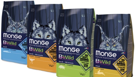 All about Monge dry food