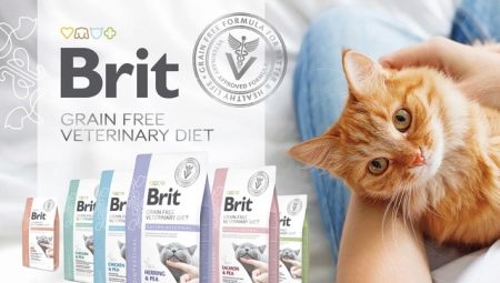All About Brit Dry Cat Food