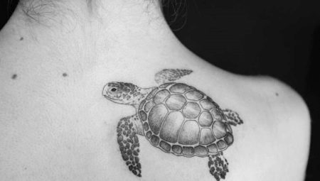Tout sur le tatouage Tortue