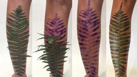 All About Fern Tattoo