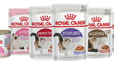 Tout sur la nourriture humide ROYAL CANIN