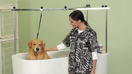 Choosing a bath for grooming