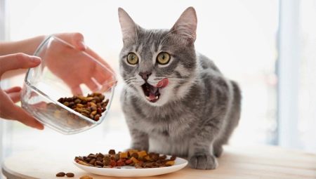 Whiskas for neutered cats and neutered cats
