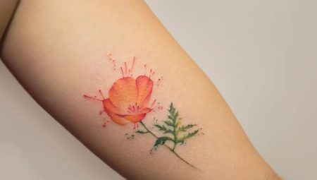 Poppy tattoo meaning and sketches