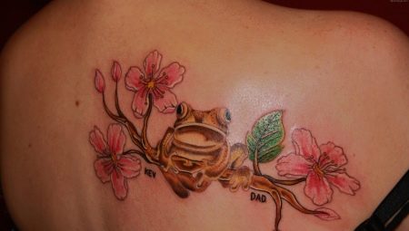 The meaning of a tattoo in the form of a frog and options for its execution