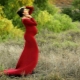 Red maternity dress