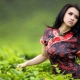 Silk tunics