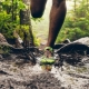 Cross Country Sneakers