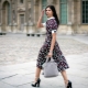 French style of dress
