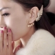 Faux earrings