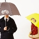 Umbrella cane
