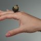 Ring with onyx