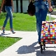 Trolley bag