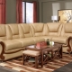How to clean a light leather sofa at home?