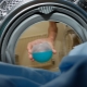 Washing membrane clothing in a washing machine