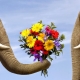 Ethics and etiquette: the relationship of concepts