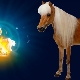 Aries-Horse man traits