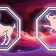 Aries Rat woman traits