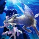 Aries and Capricorn: the union of earth and fire