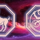Aries-Monkey: characteristics of men and their compatibility in love