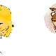 Taurus-Tiger woman: personality description and compatibility