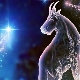 Characteristics and compatibility of a Capricorn woman born in the year of the Rat