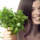 Parsley: properties and rules of application for the face