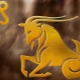 Capricorn compatibility with representatives of other zodiac signs