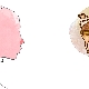 Taurus born in the year of the Pig: characteristics